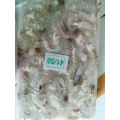 Frozen Imported White Shrimp Litopenaeus Vannamei HOSO